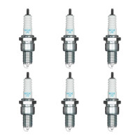 6 Zündkerzen mit Flachdichtsitz NGK...
