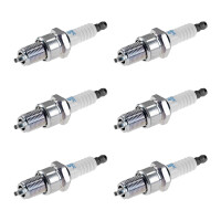 6 Spark Plugs fixed SAE connection NGK suitable for...