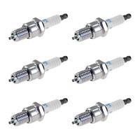 6 Spark Plugs fixed SAE connection NGK suitable for e.g....