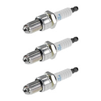 3 Spark Plugs fixed SAE connection NGK suitable for...