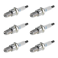 6 Spark Plugs fixed SAE connection NGK suitable for...