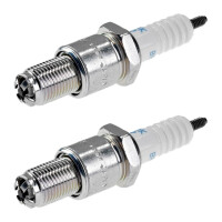 2 Spark Plugs with flat seal seat NGK aftermarket...
