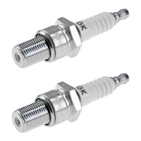 2 Spark Plugs fixed SAE connection NGK IAM expertise for...