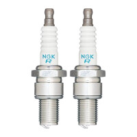 2 Spark Plugs fixed SAE connection NGK IAM expertise for...