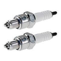 2 Spark Plugs with flat seal seat NGK aftermarket...