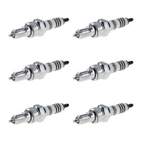 6 Zündkerzen 1-Masseelektrode NGK IAM-Expertise...