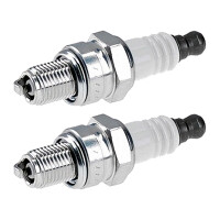 2 Spark Plugs fixed SAE connection NGK IAM expertise for...