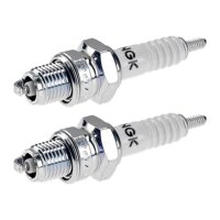 2 Zündkerzen mit Flachdichtsitz NGK...