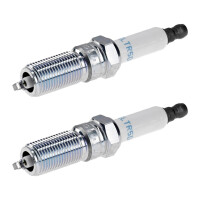 2 Spark Plugs fixed SAE connection NGK IAM expertise for...