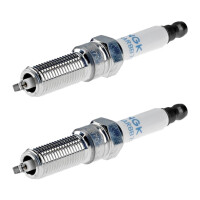 2 Spark Plugs fixed SAE connection NGK aftermarket...