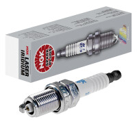 6 Spark Plugs fixed SAE connection NGK for e.g....