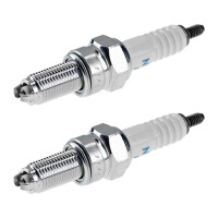 2 Spark Plugs fixed SAE connection NGK IAM expertise for...