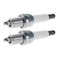 2 Spark Plugs fixed SAE connection NGK IAM expertise for...