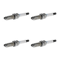 4 Spark Plugs fixed SAE connection NGK suitable for e.g....