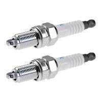 2 Spark Plugs fixed SAE connection NGK IAM expertise for...