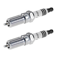 2 Spark Plugs fixed SAE connection NGK Iridium IX for...