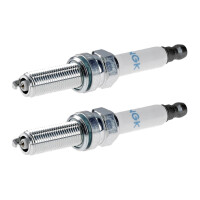 2 Spark Plugs fixed SAE connection NGK aftermarket...
