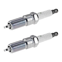 2 Spark Plugs fixed SAE connection NGK suitable for e.g....