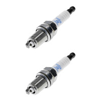 2 Spark Plugs fixed SAE connection NGK for e.g....
