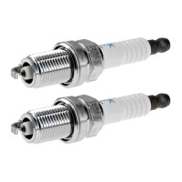 2 Spark Plugs fixed SAE connection NGK IAM expertise for...