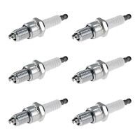 6 Spark Plugs fixed SAE connection NGK suitable for e.g....