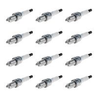 12 Spark Plugs fixed SAE connection NGK IAM-Expertise for...