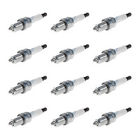 12 Spark Plugs fixed SAE connection NGK IAM-Expertise for...