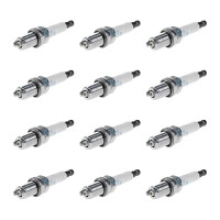 12 Spark Plugs fixed SAE connection NGK IAM-Expertise for...