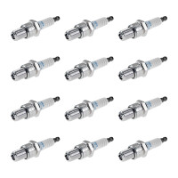 12 Spark Plugs fixed SAE connection NGK suitable for...