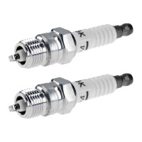 2 Spark Plugs fixed SAE connection NGK IAM expertise for...
