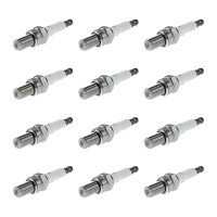 12 Spark Plugs fixed SAE connection NGK IAM-Expertise for...