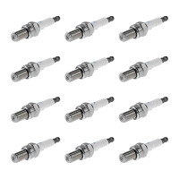 12 Spark Plugs fixed SAE connection NGK IAM-Expertise for...