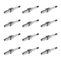 12 Spark Plugs fixed SAE connection NGK IAM-Expertise for...