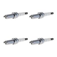 4 Spark Plugs fixed SAE connection NGK suitable for...