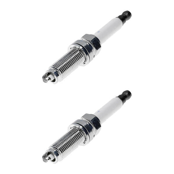 2 Spark Plugs fixed SAE connection NGK for e.g. LAND ROVER DISCOVERY