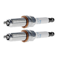 2 Spark Plugs fixed SAE connection NGK for e.g. LAND...