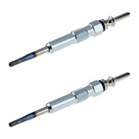 2 Glow Plugs Metal Glow Plugs 5 V NGK IAM-Expertise...