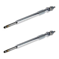 2 Glow Plugs Metal Glow Plugs 11 V NGK IAM expertise for...