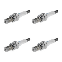 4 Spark Plugs fixed SAE connection NGK suitable for...