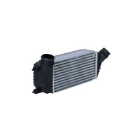 Ladeluftkühler 300 mm - 144 mm NRF passend für u.a. CITROËN JUMPY