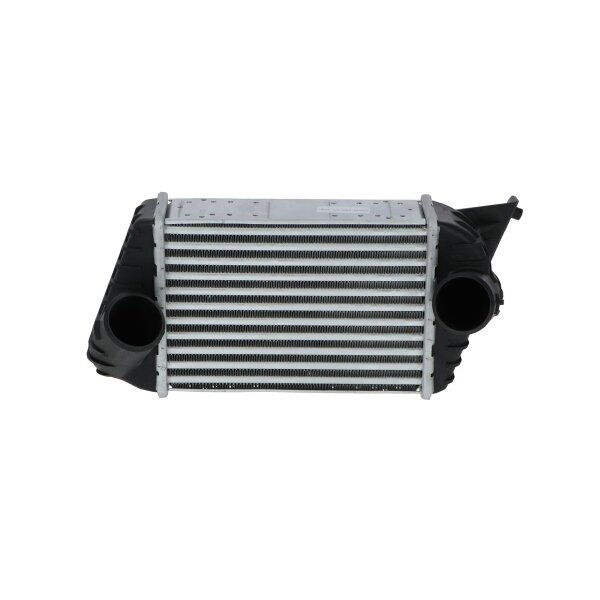 Intercooler 240 mm - 175 mm NRF suitable for e.g. FIAT STILO