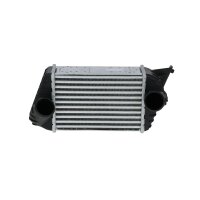 Intercooler 240 mm - 175 mm NRF suitable for e.g. FIAT STILO