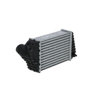 Intercooler 240 mm - 175 mm NRF suitable for e.g. FIAT STILO