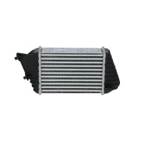 Intercooler 240 mm - 175 mm NRF suitable for e.g. FIAT STILO