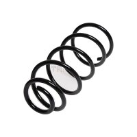 Suspension Spring Rear Axle Coil Spring TRISCAN for FIAT...