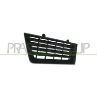Radiator grille PRASCO for SEAT IBIZA III