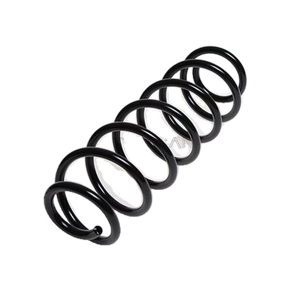Suspension Spring Rear Axle Coil Spring TRISCAN for FIAT STILO
