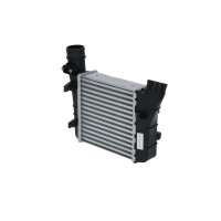 Intercooler heat exchanger principle 220 mm - 217 mm NRF...