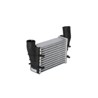 Ladeluftkühler Kühlrippen gelötet 240 mm - 172 mm NRF für u.a. AUDI A4