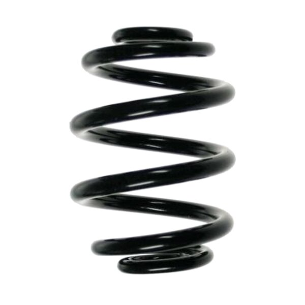 SPIDAN 85537 Fahrwerksfeder hinten